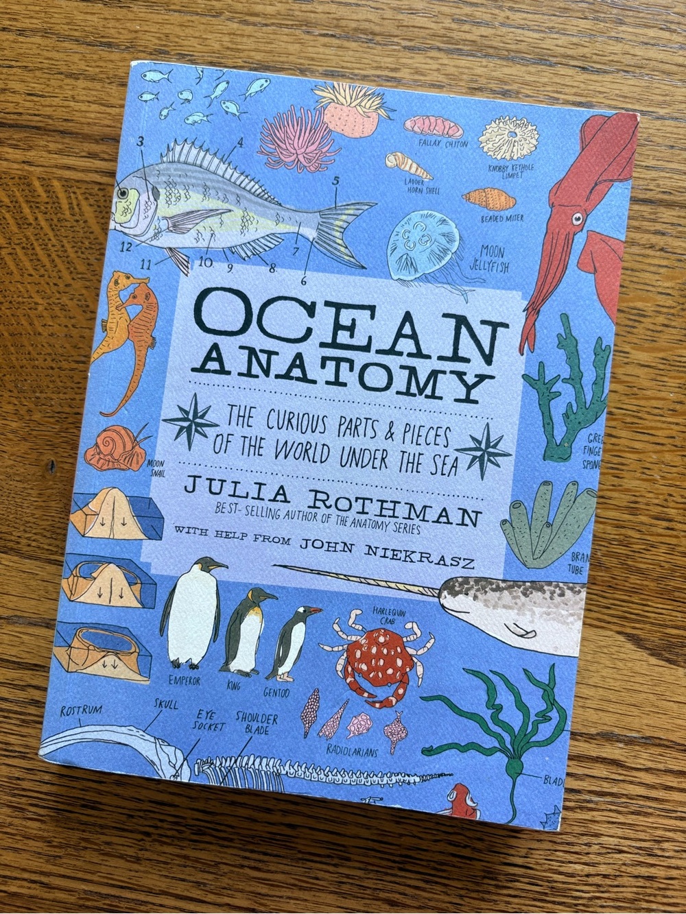 Ocean Anatomy by Julia Rothman - The author of the anatomy series 206 pgs.